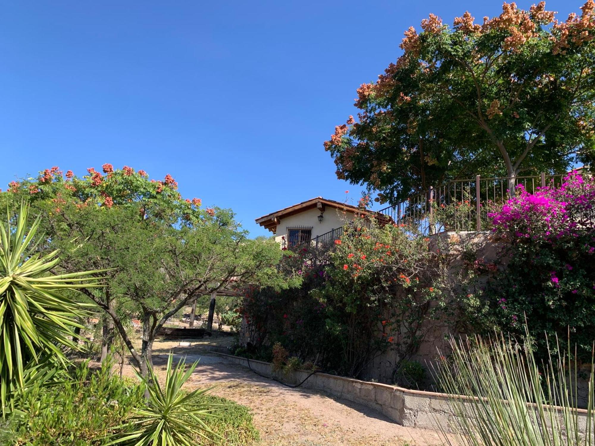 Colon Villa Campestre La Soledad מראה חיצוני תמונה
