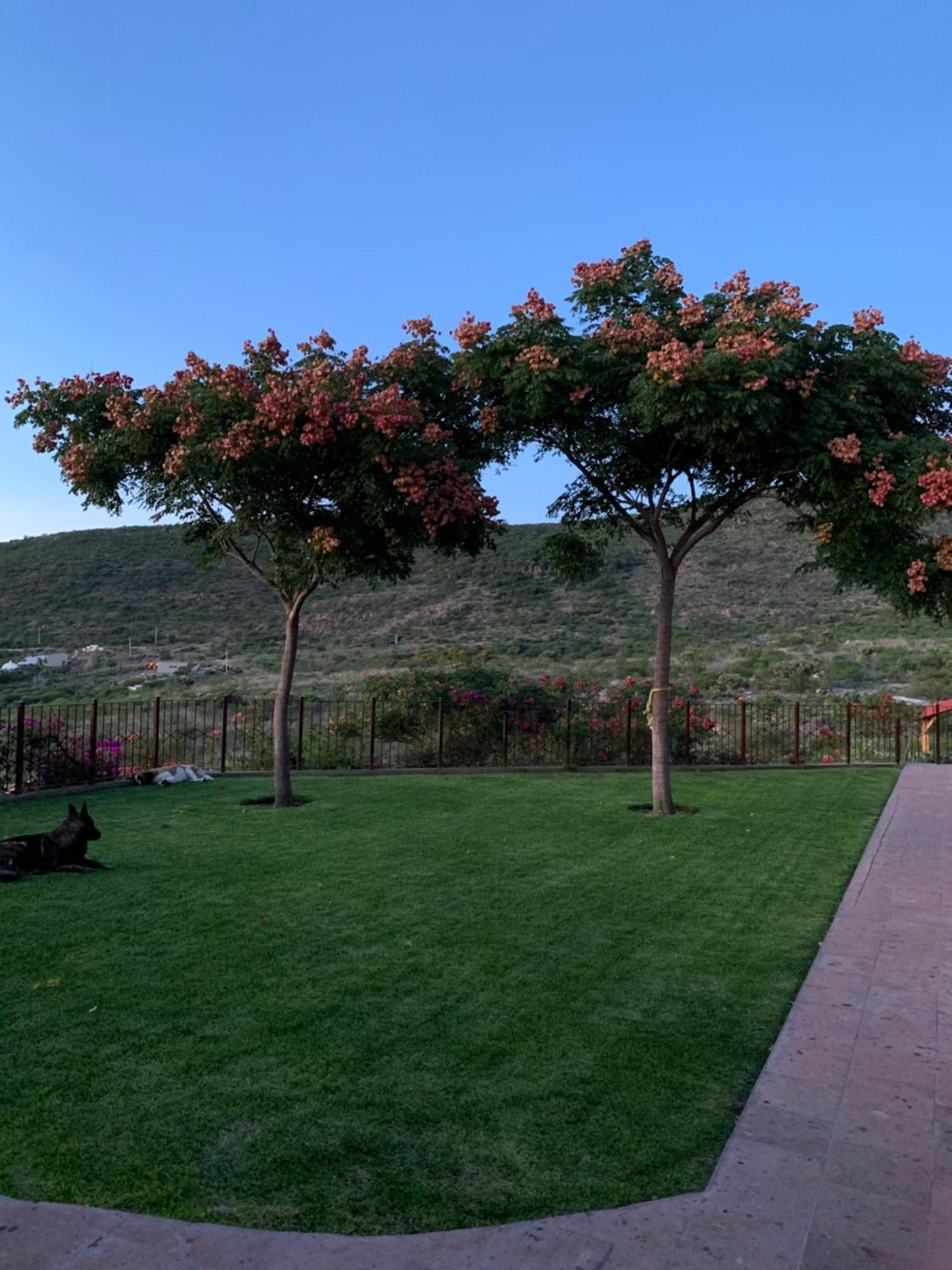Colon Villa Campestre La Soledad מראה חיצוני תמונה