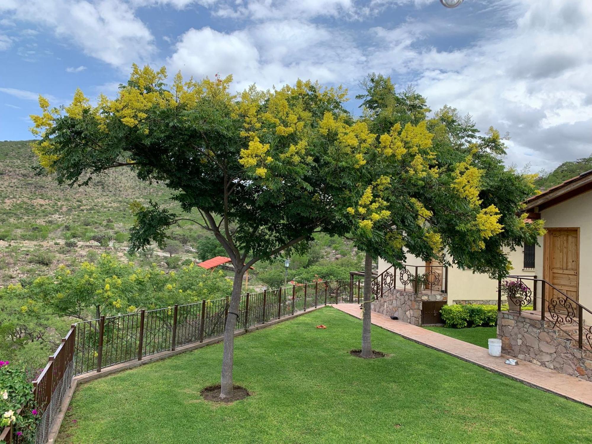 Colon Villa Campestre La Soledad מראה חיצוני תמונה