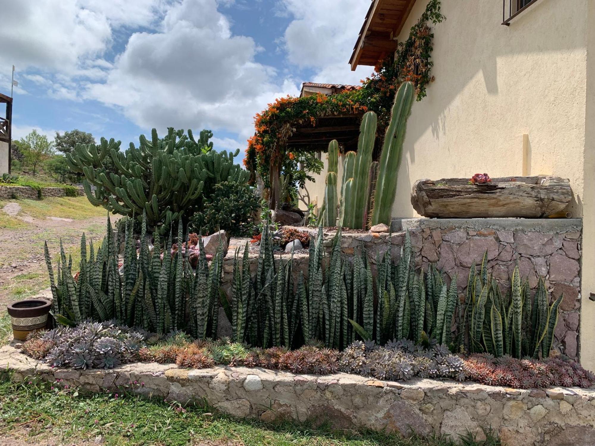 Colon Villa Campestre La Soledad מראה חיצוני תמונה