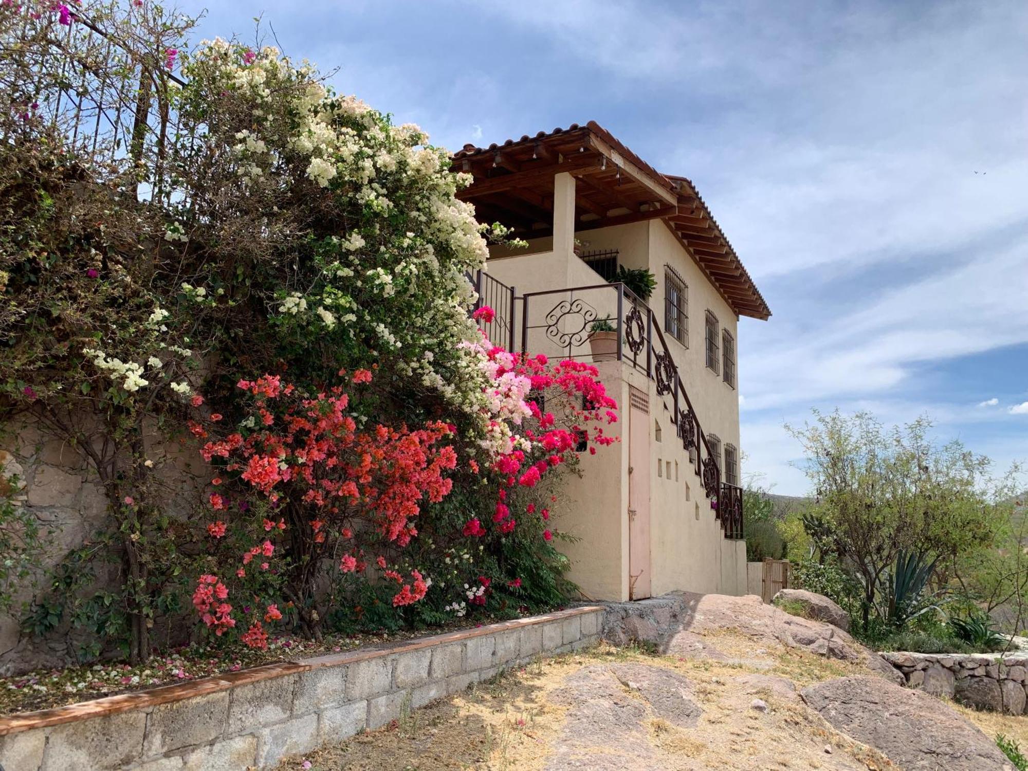 Colon Villa Campestre La Soledad מראה חיצוני תמונה
