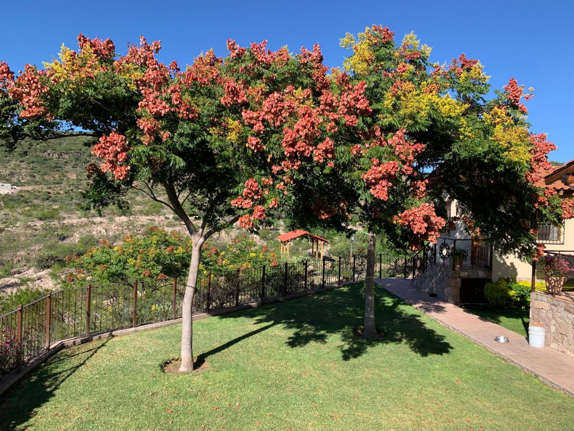 Colon Villa Campestre La Soledad מראה חיצוני תמונה