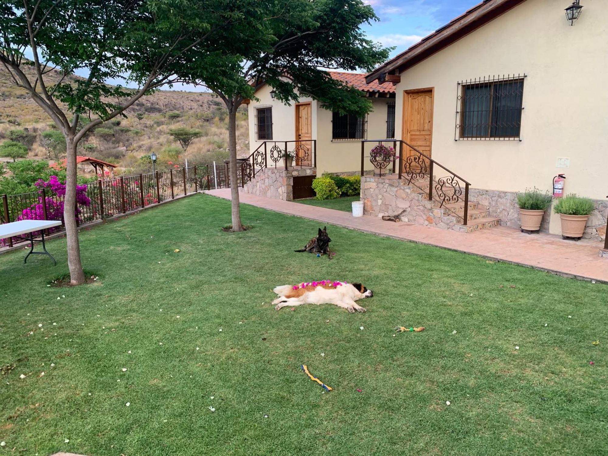 Colon Villa Campestre La Soledad מראה חיצוני תמונה